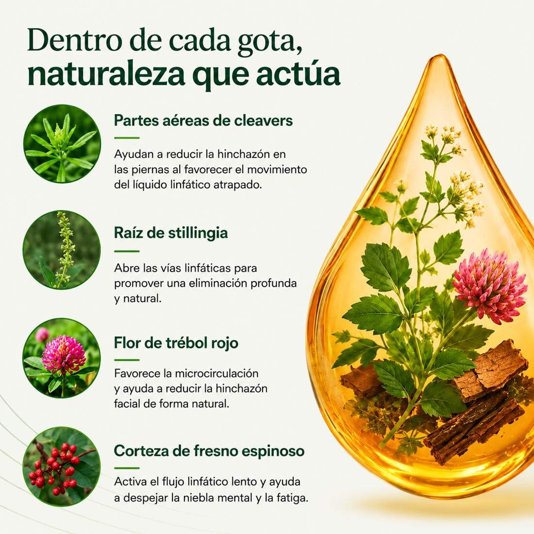 LYMPHORA™ | Siéntete Más Ligera