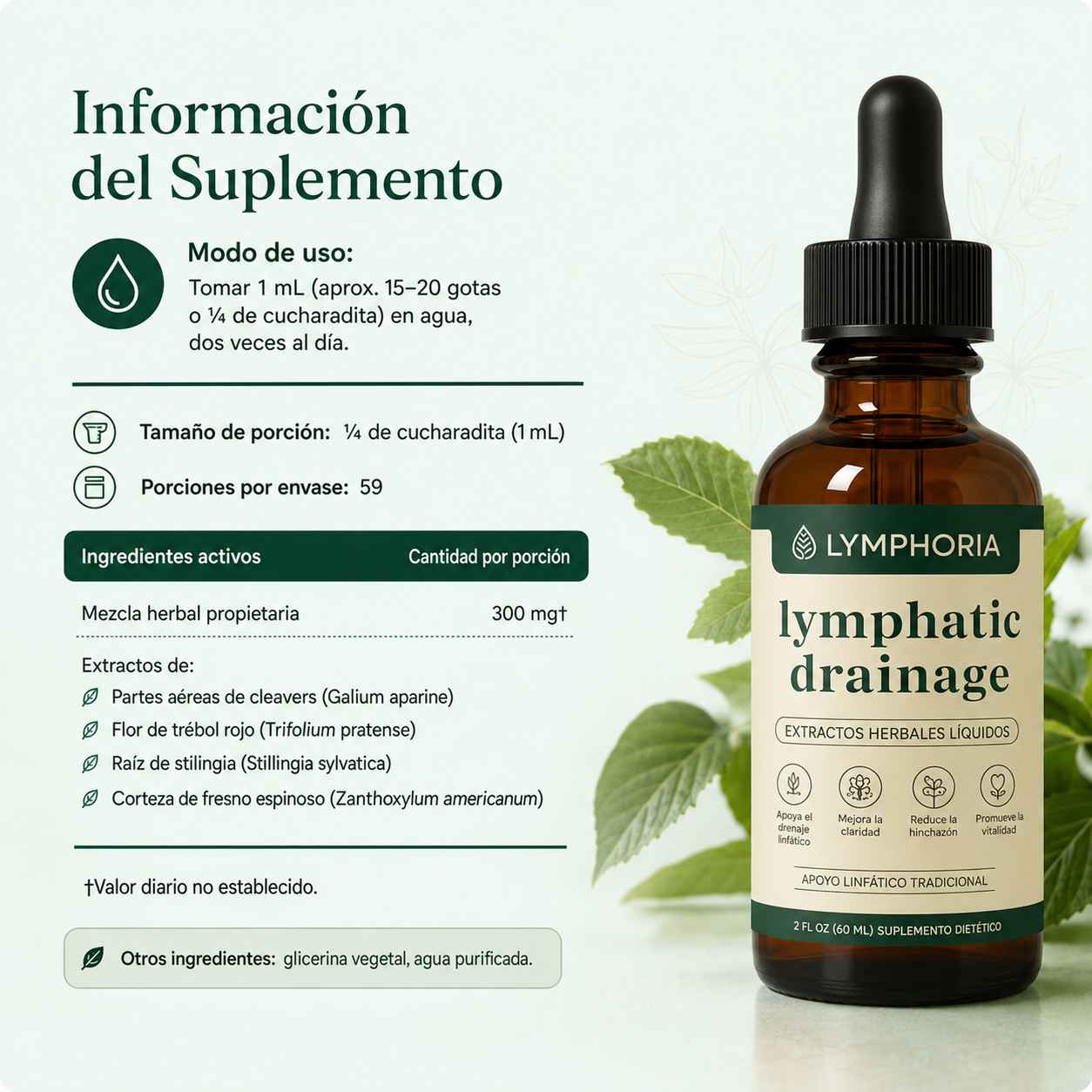 LYMPHORA™ | Siéntete Más Ligera
